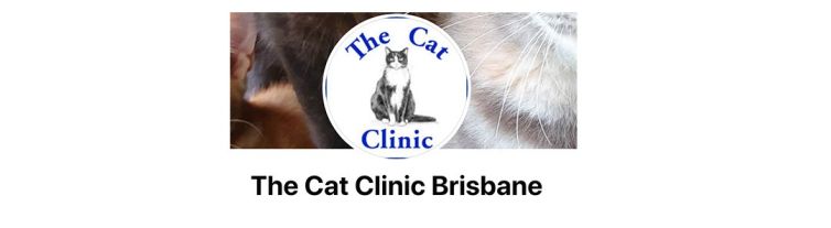 theCatClinicv2